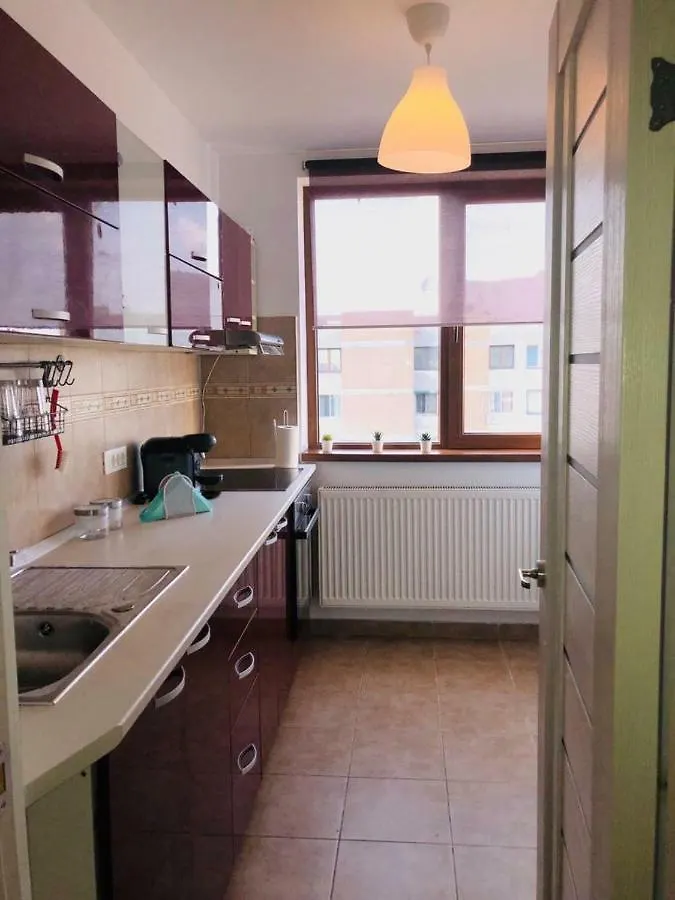 Modern & Elegant Apart Apartment Bucharest 0*,
